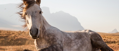 Dit zijn de winnaars van de National Geographic Traveler's Photo Contest 2014