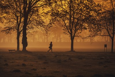 Korter werken doet mannen dubbel zoveel goed als vrouwen