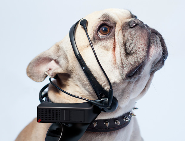 De 'No More Woof' vertaalt hondengeblaf naar Engels